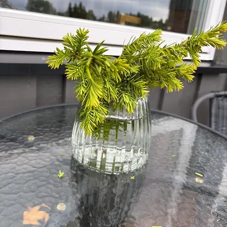 Appartement 3 Soveroms Leilighet-komfort Og Stil -perfekt For Ferie Og Jobb